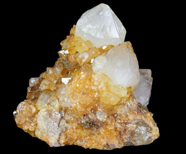Sunshine Cactus Quartz Crystal Cluster - South Africa #80219